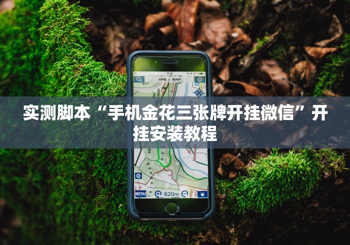 实测脚本“手机金花三张牌开挂微信”开挂安装教程