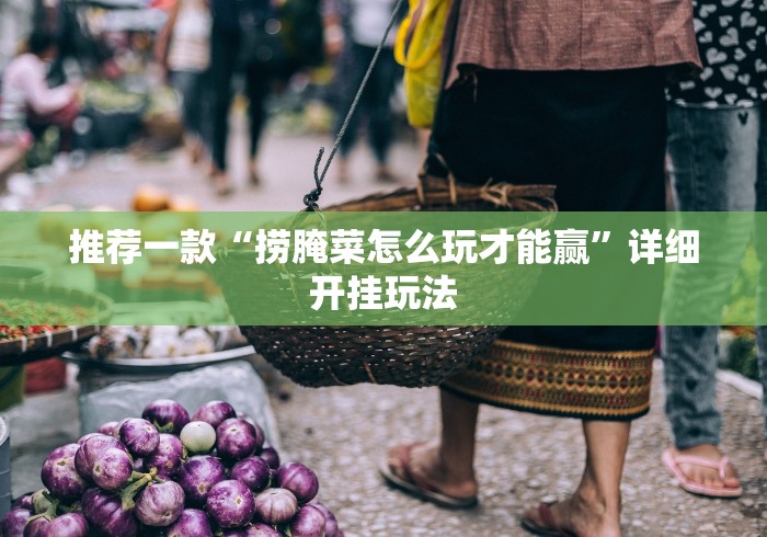 推荐一款“捞腌菜怎么玩才能赢”详细开挂玩法