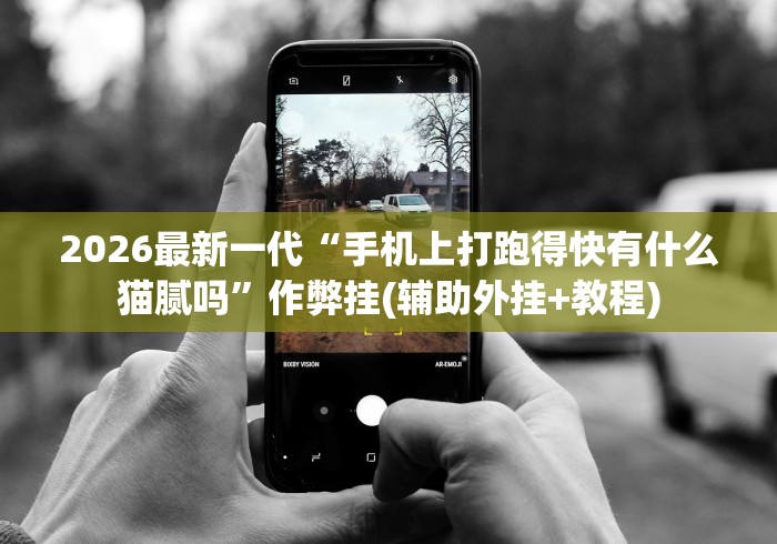 2026最新一代“手机上打跑得快有什么猫腻吗”作弊挂(辅助外挂+教程)