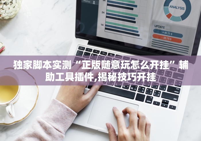 独家脚本实测“正版随意玩怎么开挂”辅助工具插件,揭秘技巧开挂