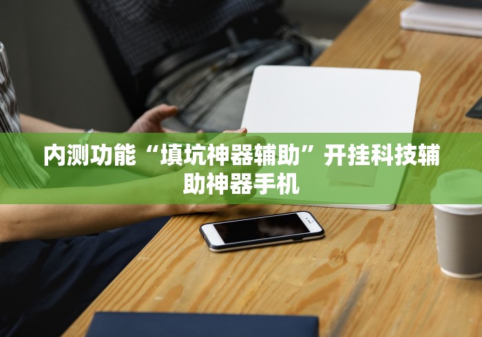 内测功能“填坑神器辅助”开挂科技辅助神器手机