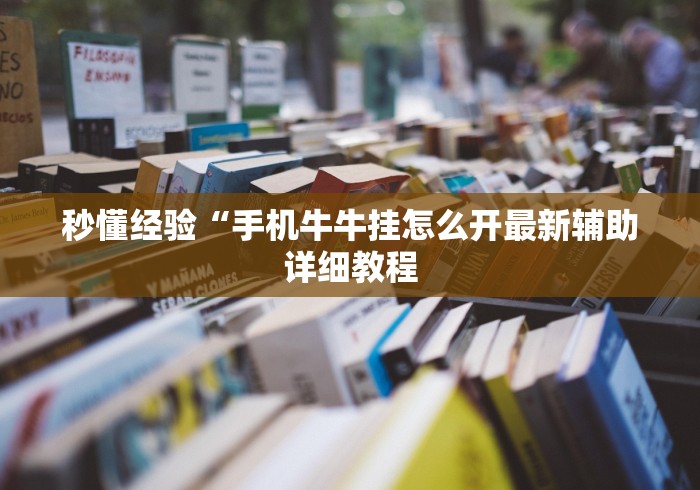 秒懂经验“手机牛牛挂怎么开最新辅助详细教程