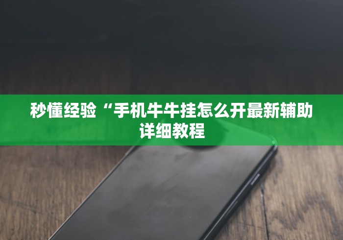 秒懂经验“手机牛牛挂怎么开最新辅助详细教程