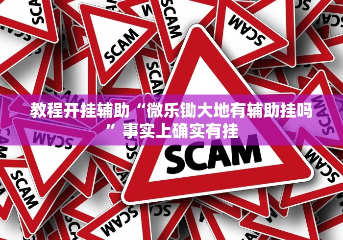 教程开挂辅助“微乐锄大地有辅助挂吗”事实上确实有挂