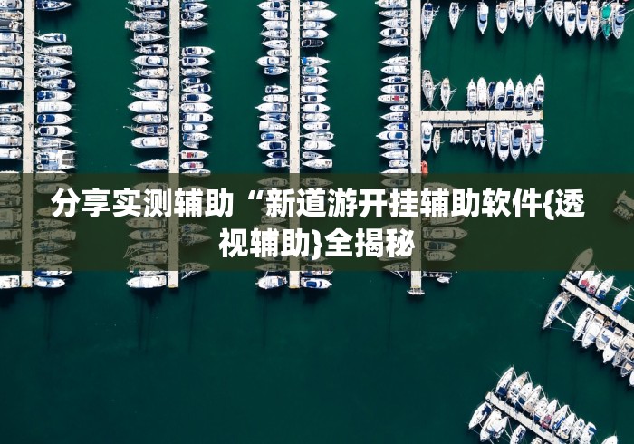 分享实测辅助“新道游开挂辅助软件{透视辅助}全揭秘