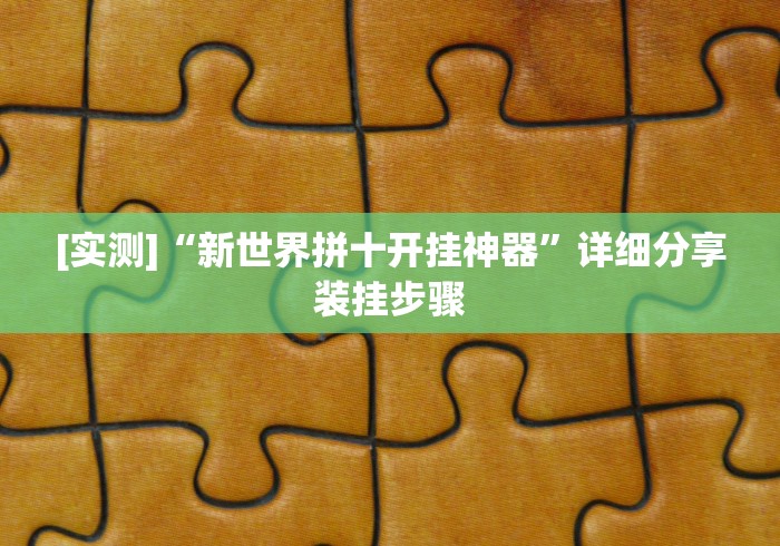 [实测]“新世界拼十开挂神器”详细分享装挂步骤