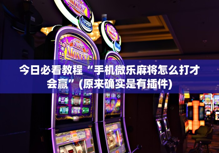 今日必看教程“手机微乐麻将怎么打才会赢”(原来确实是有插件)