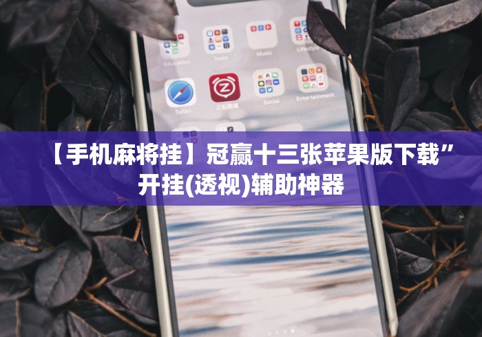 【手机麻将挂】冠赢十三张苹果版下载”开挂(透视)辅助神器