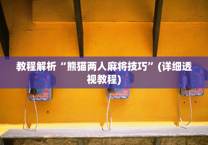 教程解析“熊猫两人麻将技巧”(详细透视教程)