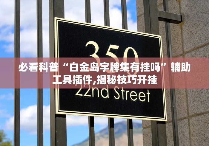 必看科普“白金岛字牌集有挂吗”辅助工具插件,揭秘技巧开挂