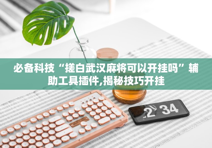 必备科技“搓白武汉麻将可以开挂吗”辅助工具插件,揭秘技巧开挂