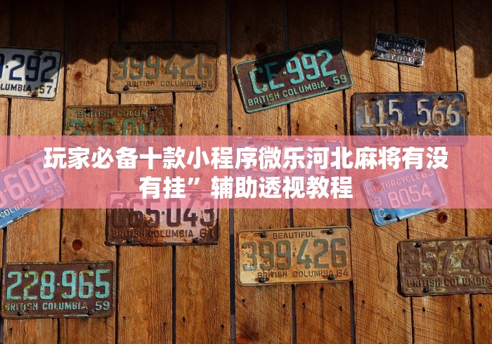 玩家必备十款小程序微乐河北麻将有没有挂”辅助透视教程