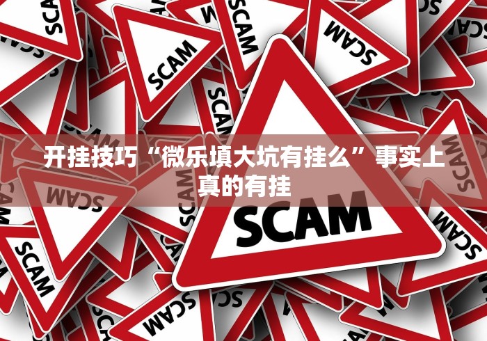 开挂技巧“微乐填大坑有挂么”事实上真的有挂