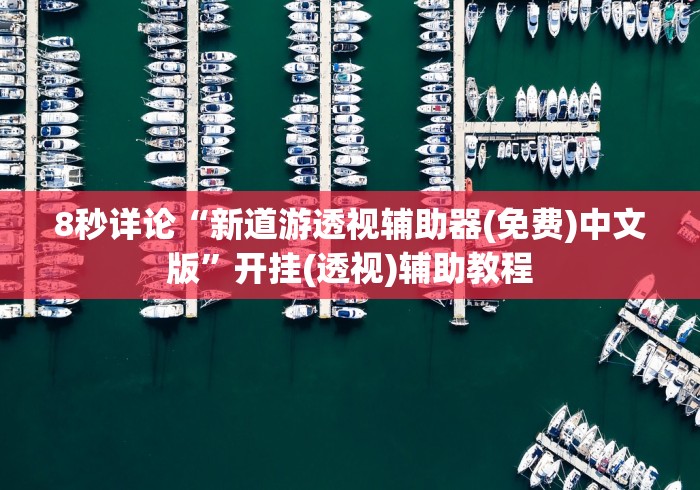 8秒详论“新道游透视辅助器(免费)中文版”开挂(透视)辅助教程