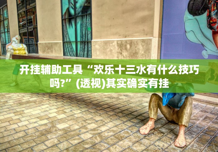 开挂辅助工具“欢乐十三水有什么技巧吗?”(透视)其实确实有挂