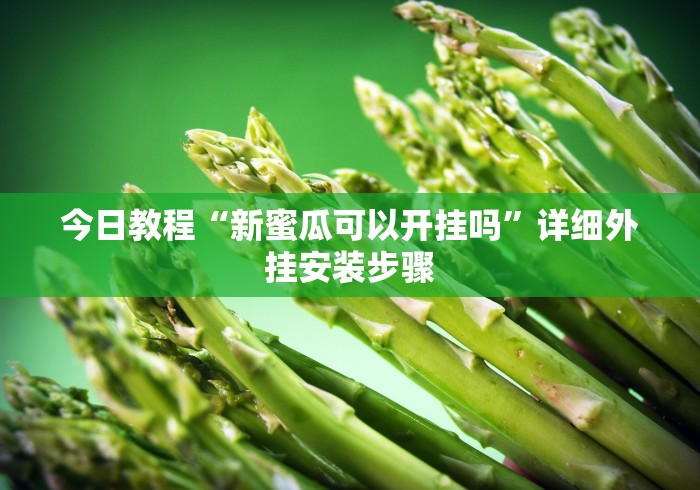今日教程“新蜜瓜可以开挂吗”详细外挂安装步骤