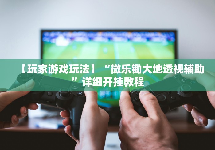 【玩家游戏玩法】“微乐锄大地透视辅助”详细开挂教程