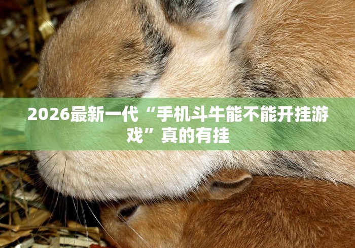 2026最新一代“手机斗牛能不能开挂游戏	”真的有挂
