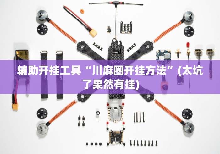 辅助开挂工具“川麻圈开挂方法”(太坑了果然有挂)