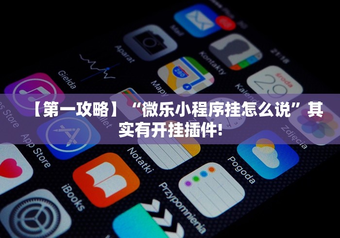 【第一攻略】“微乐小程序挂怎么说”其实有开挂插件!