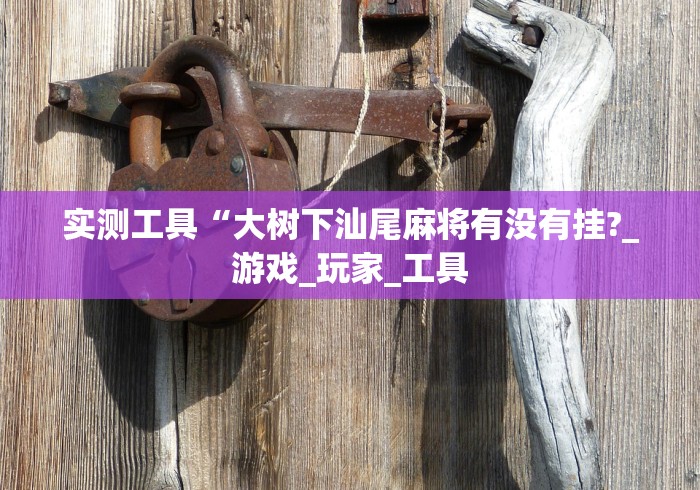 实测工具“大树下汕尾麻将有没有挂?_游戏_玩家_工具