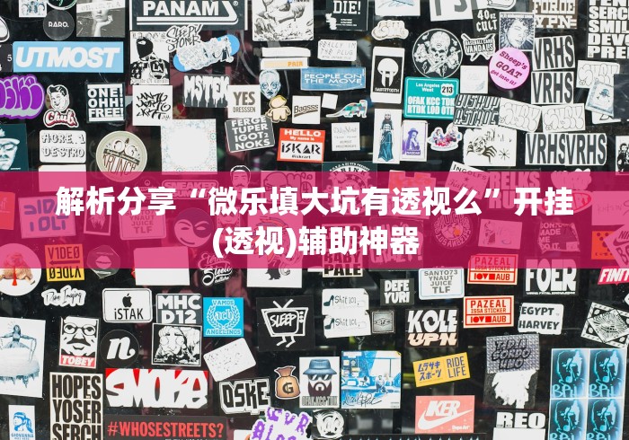 解析分享“微乐填大坑有透视么”开挂(透视)辅助神器