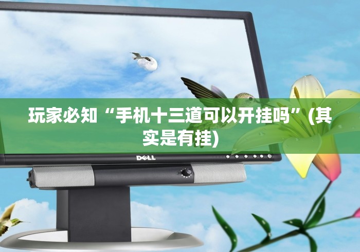 玩家必知“手机十三道可以开挂吗	”(其实是有挂)
