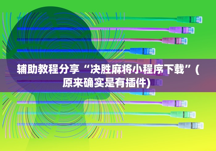 辅助教程分享“决胜麻将小程序下载”(原来确实是有插件) 