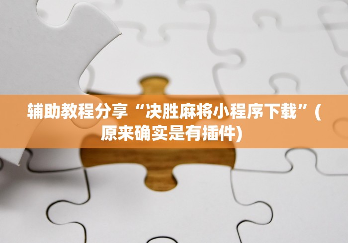 辅助教程分享“决胜麻将小程序下载”(原来确实是有插件) 