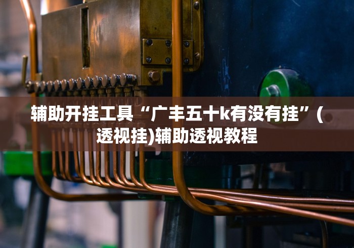 辅助开挂工具“广丰五十k有没有挂	”(透视挂)辅助透视教程