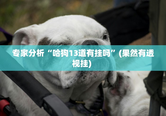 专家分析“哈狗13道有挂吗	”(果然有透视挂) 