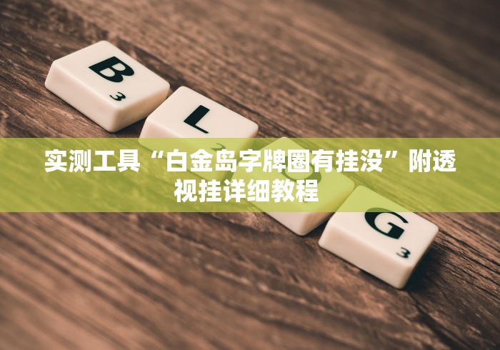 实测工具“白金岛字牌圈有挂没”附透视挂详细教程 