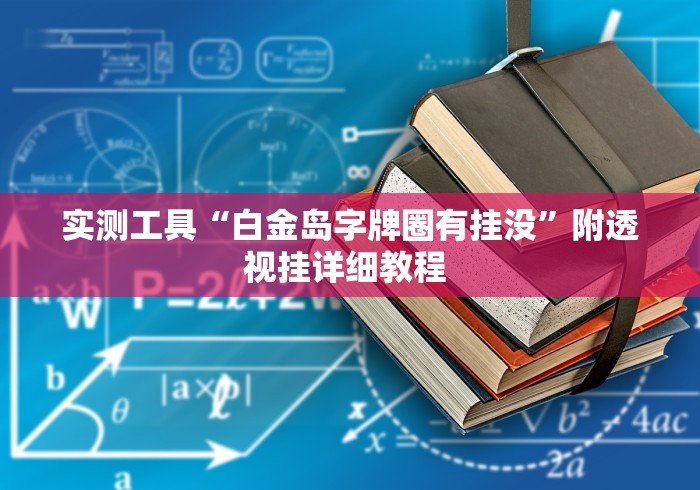 实测工具“白金岛字牌圈有挂没”附透视挂详细教程 
