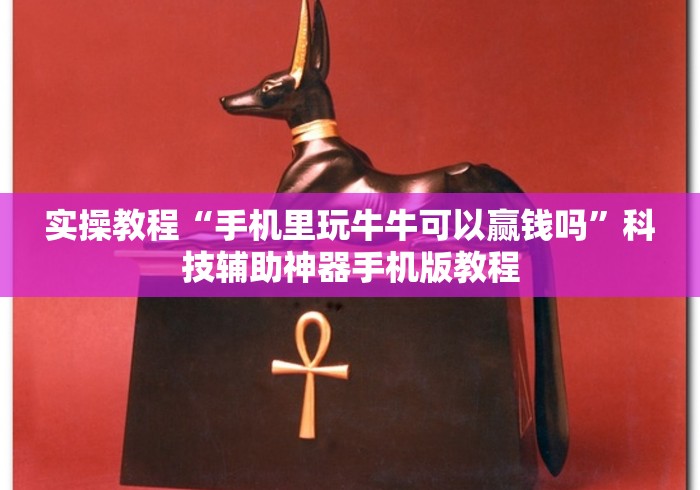实操教程“手机里玩牛牛可以赢钱吗	”科技辅助神器手机版教程