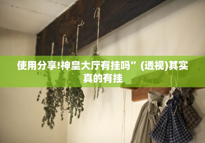 使用分享!神皇大厅有挂吗”(透视)其实真的有挂