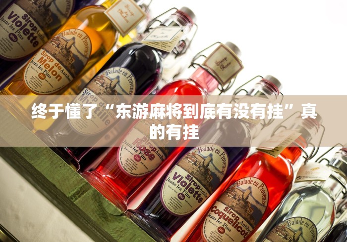终于懂了“东游麻将到底有没有挂”真的有挂
