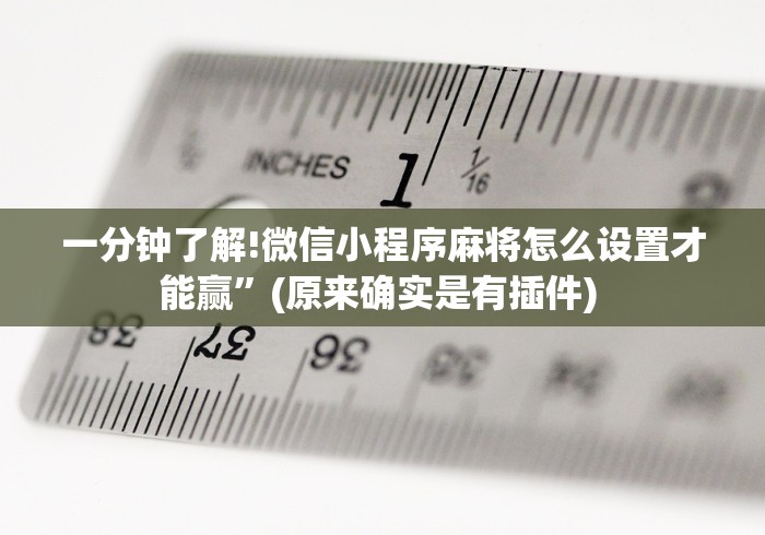 一分钟了解!微信小程序麻将怎么设置才能赢”(原来确实是有插件) 