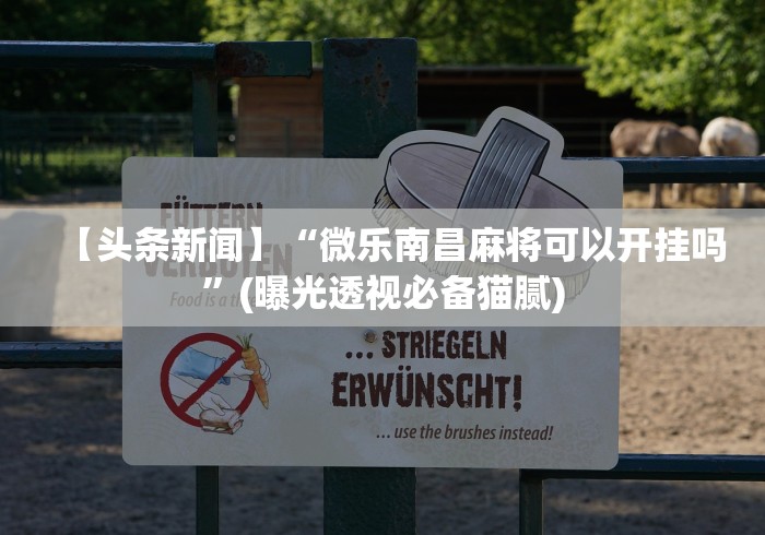 【头条新闻】“微乐南昌麻将可以开挂吗”(曝光透视必备猫腻)