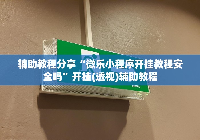 辅助教程分享“微乐小程序开挂教程安全吗”开挂(透视)辅助教程