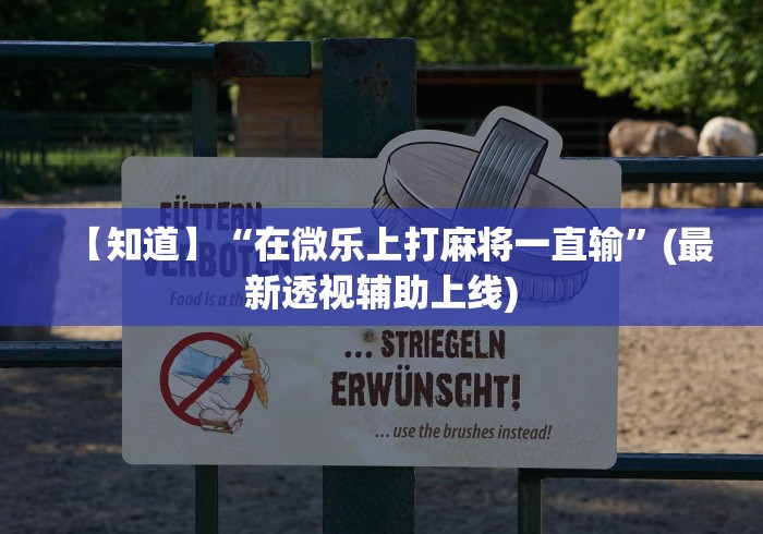 【知道】“在微乐上打麻将一直输	”(最新透视辅助上线)