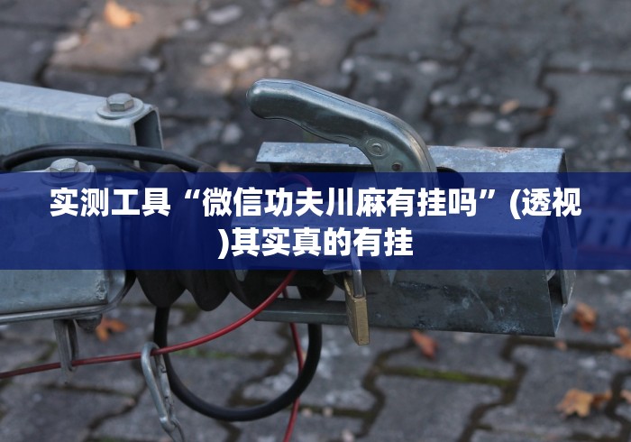 实测工具“微信功夫川麻有挂吗”(透视)其实真的有挂