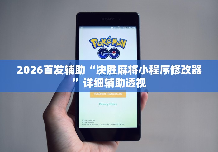 2026首发辅助“决胜麻将小程序修改器	”详细辅助透视