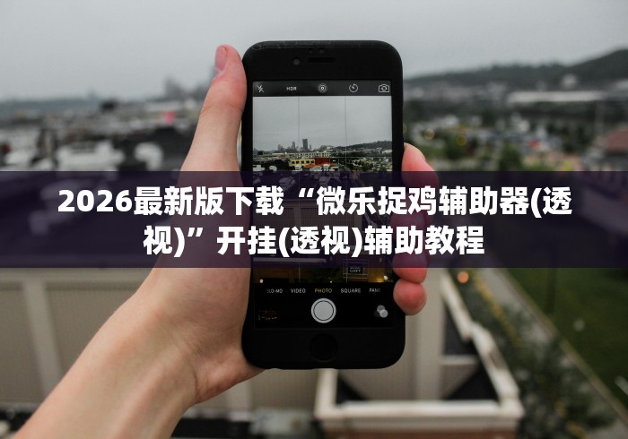 2026最新版下载“微乐捉鸡辅助器(透视)”开挂(透视)辅助教程