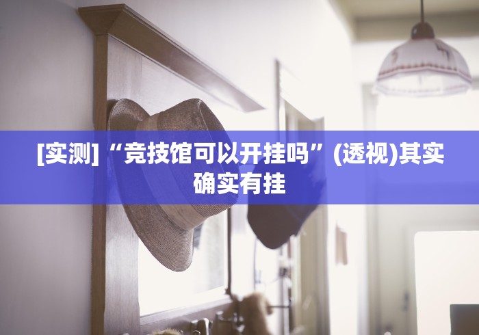 [实测]“竞技馆可以开挂吗”(透视)其实确实有挂
