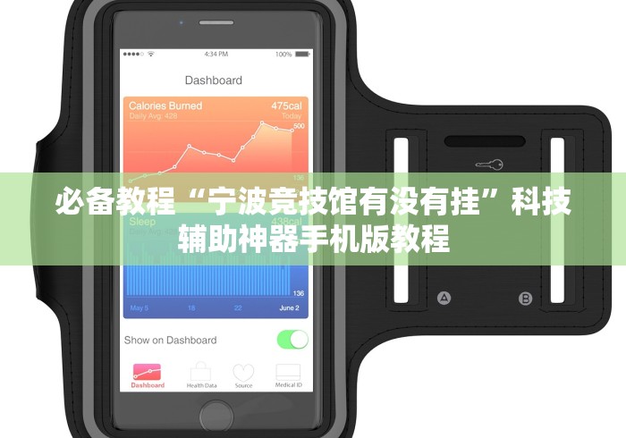 必备教程“宁波竞技馆有没有挂”科技辅助神器手机版教程