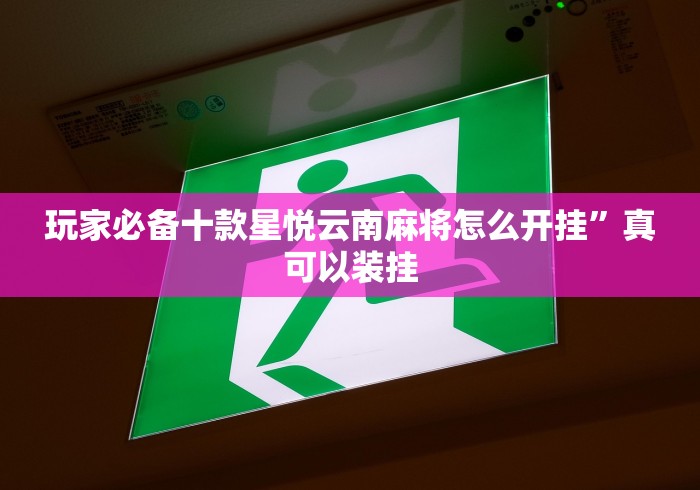 玩家必备十款星悦云南麻将怎么开挂”真可以装挂