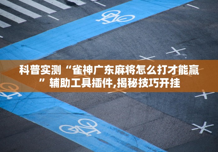 科普实测“雀神广东麻将怎么打才能赢	”辅助工具插件,揭秘技巧开挂