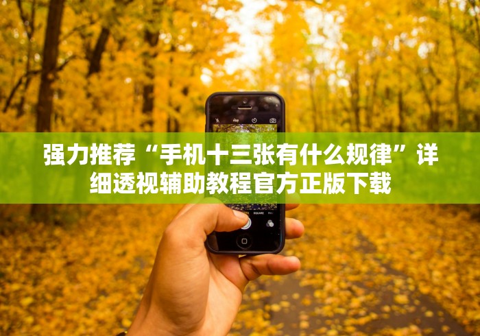 强力推荐“手机十三张有什么规律”详细透视辅助教程官方正版下载