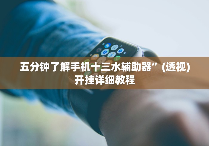 五分钟了解手机十三水辅助器”(透视)开挂详细教程