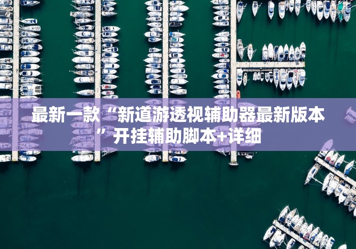 最新一款“新道游透视辅助器最新版本	”开挂辅助脚本+详细